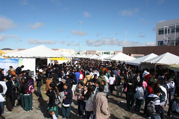 La exporienta es una excelente alternativa para los jóvenes La exporienta es una excelente alternativa para los jóvenes