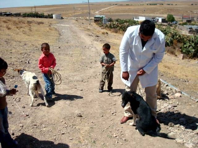 Durante siete días, 162 estudiantes recorrerán en brigadas móviles, casa por casa, los municipios de Calera, Guadalupe y Zacatecas.
