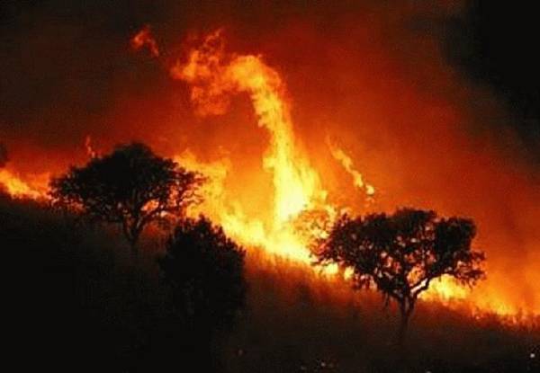 incendio1-d46