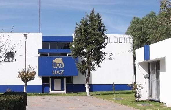 odontologia odontologia