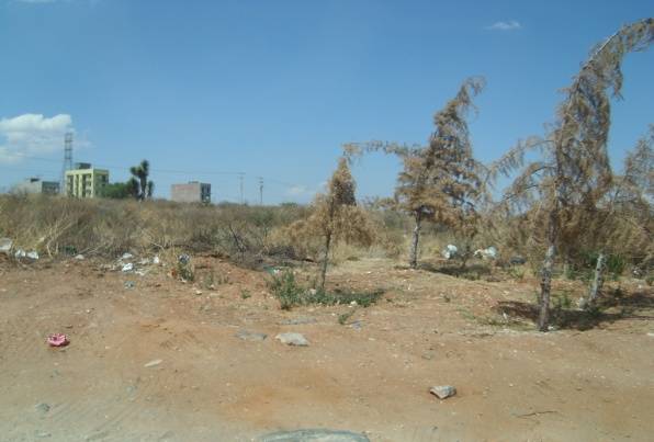 taller-ambiental3