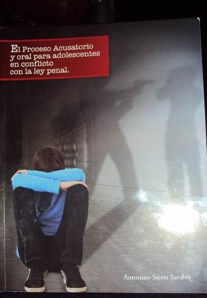 ley-penal2