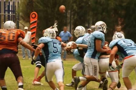 14Tazon2